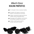 3/4 CT Princess Cut Black Onyx and Diamond Halo Stud Earrings Black Onyx - ( AAA ) - Quality - Rosec Jewels